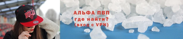 стафф Новозыбков