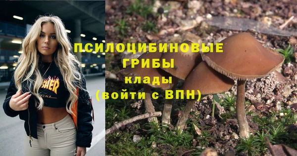 стафф Новозыбков