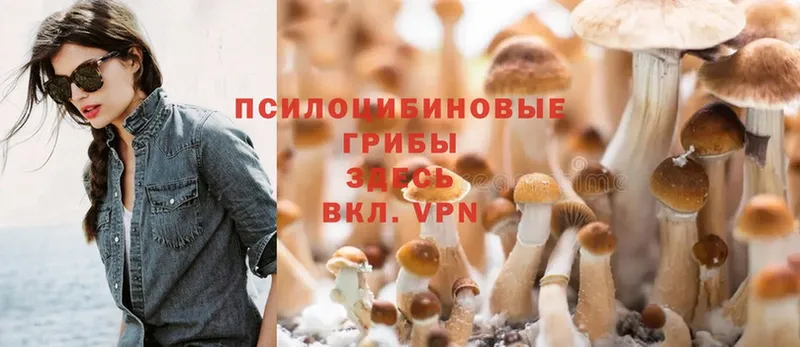 Галлюциногенные грибы Psilocybe  МЕГА зеркало  площадка состав  Полевской 