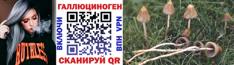 Галлюциногенные грибы GOLDEN TEACHER  сайты даркнета как зайти  Полевской  купить наркотики сайты 