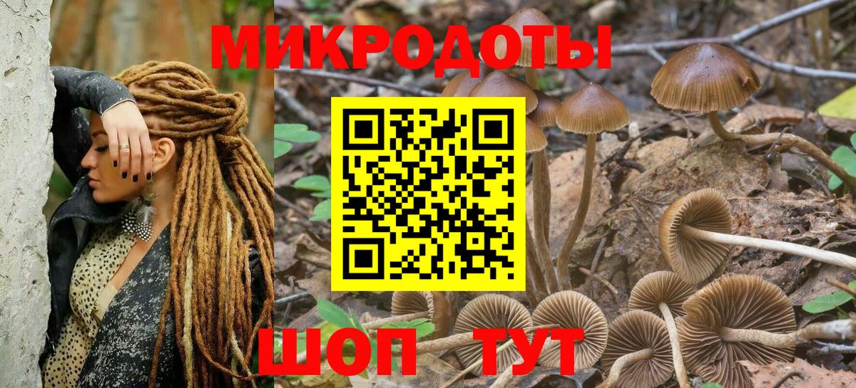 Псилоцибиновые грибы GOLDEN TEACHER Полевской