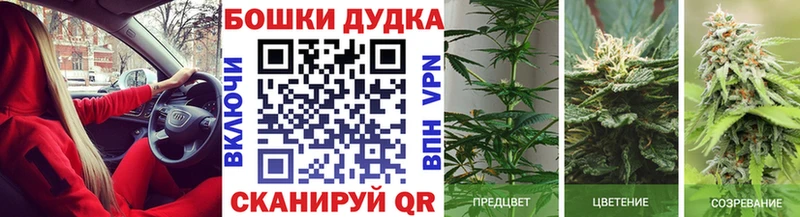 Конопля индика  Полевской 